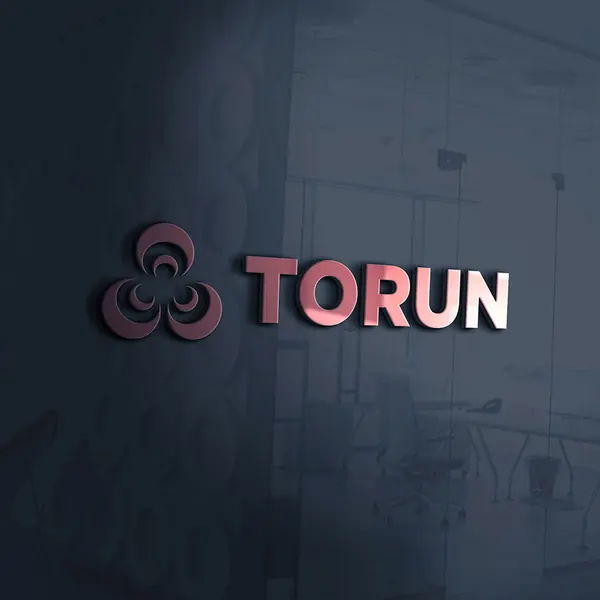 Torun Bakir — Yalın Model referansı